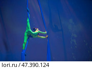 Belarus, Gomel, June 13, 2017 Palace of Culture, performance of the Abel Folk Circus,A girl dancing a dance on canvases.Children's sports. Girl gymnast. Straight tricks. Редакционное фото, фотограф Лазаренко Светлана / Фотобанк Лори