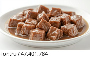 Gourmet Wet Cat Food with Tender Chunks in Rich Gravy on White Plate. Влажный корм для кошек Gourmet с нежными кусочками в богатой подливке на белой тарелке. Стоковое AI-изображение, AI-художник Katsiaryna Repich / Фотобанк Лори