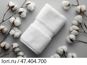 A neatly folded white hotel towel with cotton around on grey background. Аккуратно сложенное белое гостиничное полотенце с хлопком вокруг на сером фоне. Стоковое AI-изображение, AI-художник Katsiaryna Repich / Фотобанк Лори