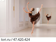 Graceful Ballet Dancer Performing Pirouette Pose. Стоковое фото, фотограф Мария Мороз / Фотобанк Лори