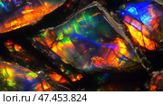 Discovering the vibrant textures and colors of opal stone specimens in natural light. Стоковое AI-изображение, AI-художник Ксения Лаптева / Фотобанк Лори