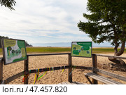 BAIKAL LAKE, KHUZHIR VILLAGE, IRKUTSK REGION, RUSSIA - August 03, 2024: Posters with descriptions of animals and plants of Olkhon Islands on ecological trail Saray Ring on beach of Saraiskiy Bay. Редакционное фото, фотограф Виктория Катьянова / Фотобанк Лори