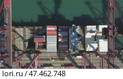 Cargo containers stacked during unloading at shipping dock. Стоковое видео, видеограф Михаил Коханчиков / Фотобанк Лори