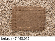 Frame made of burlap with the line lies on  sunflower seeds. Стоковое фото, фотограф Александр Собко / Фотобанк Лори