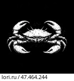 Black and white graphic illustration of a crab on a black background. The style of the work resembles an engraving or tattoo art with sharp contrasts and an emphasis on the texture of the shell and claws. The crab is depicted frontally, symmetrically, with powerful claws and a detailed body. The illustration looks expressive and can be used as a logo, tattoo, clothing print or poster in a marine or pirate style. Стоковое AI-изображение, AI-художник Анна Кривицкая / Фотобанк Лори