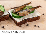 Sandwich black bread with sprats, cheese, cucumber and herbs. Snack for vodka. Стоковое фото, фотограф Евгений Ткачёв / Фотобанк Лори