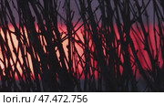 Leafless tree branches silhouetted against blazing sunset, casting dark shadows across fiery golden hour landscape with intense red and orange colors. Стоковое видео, видеограф Данил Руденко / Фотобанк Лори