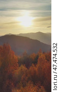 Flying over colorful foliage at sunset in mountains. Стоковое видео, видеограф Михаил Коханчиков / Фотобанк Лори