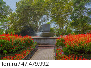 A picturesque corner of Sevastopol — a well-kept park with a fountain. In the center of the composition is a fountain with water thrown upwards, creating the effect of a light fog around. Flower beds are laid out around the fountain, densely planted with bright red flowers, which gives the place a special picturesqueness and contrast against the background of green trees.The pedestrian path leading to the fountain is framed by metal fences, creating a neat look. Tall trees grow along the edges, creating natural shade and a cozy atmosphere. Such a place is ideal for walking and relaxing, especially in warm seasons. Стоковое фото, фотограф Анна Кривицкая / Фотобанк Лори