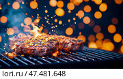 Succulent Steak Sizzle: Grilling Gourmet Delights on Fire, A Culinary Temptation. Стоковое AI-изображение, AI-художник Данила Большаков / Фотобанк Лори