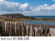 View of the coast of the city with wooden breakwaters in the foreground at low tide on a sunny summer day, Saint-Malo, Brittany, France. Стоковое фото, фотограф Ula Ulachka / Фотобанк Лори
