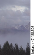 Mountain alps landscape with trees in fog clouds. Стоковое видео, видеограф Михаил Коханчиков / Фотобанк Лори