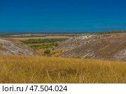 A picturesque view of chalk hills covered with dry steppe vegetation. In the foreground is tall dry grass, typical of the southern Russian steppe. Whitish stripes of chalk and sparse bushes are visible on the slopes of the hills. Below is a green valley with trees, behind it are yellow fields and a village. On the horizon, a forest and a light haze are visible. The bright blue sky without clouds emphasizes the contrast between the hills and the plain. This is probably one of the natural landscapes of the Voronezh region, for example, Divnogorye. Стоковое фото, фотограф Анна Кривицкая / Фотобанк Лори