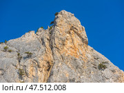A powerful and majestic rock with sharp, expressive shapes, rushing upward against the bright blue sky. The rock massif consists of light gray limestone with veins of a warm ocher shade. In some places, rare pine trees grow on the cliff, giving the landscape a characteristic Crimean flavor. At the foot of the rock, the top of an electrical pylon is visible, which emphasizes the scale and height of the natural formation. A typical landscape of the southern coast of Crimea, ideal for themes of travel, nature, geology and active tourism. Стоковое фото, фотограф Анна Кривицкая / Фотобанк Лори