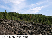 Natural summer landscape. Many igneous rock stones, evergreen coniferous forest, rocks in the distance and blue sky. Стоковое фото, фотограф Екатерина Якименко / Фотобанк Лори
