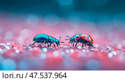 Encounter of Two Worlds: A Ground Beetle and Ladybug Navigate a Glittering Terrain, a vibrant macro closeup. Стоковое AI-изображение, AI-художник Данила Большаков / Фотобанк Лори