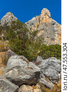 Crimean mountain landscape - a rocky cliff with a sheer wall against the backdrop of a bright blue sky. The massive rock is made of grey-orange limestone, the surface of which is covered with cracks and ledges. Evergreen trees grow below, probably junipers and sumac. Large stones and dry vegetation at the foot are also visible in the frame. The atmosphere of silence, nature and the power of the mountains. Стоковое фото, фотограф Анна Кривицкая / Фотобанк Лори