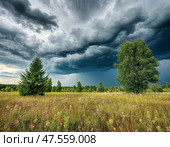 Summer thunderstorm. Landscape. Стоковое AI-изображение, AI-художник Сергей Елизарьев / Фотобанк Лори