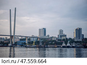 Golden cable stayed bridge crossing zolotoy rog bay, revealing vladivostok's urban landscape with maritime vessels gliding through harbor waters. Стоковое фото, фотограф Mikhail Davidovich / Фотобанк Лори