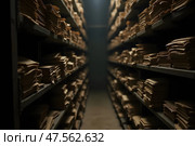 Ряды полок с бумагами в архиве. Стоковое AI-изображение, AI-художник Анна Рогалева / Фотобанк Лори