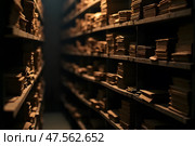 Ряды полок с бумагами в архиве. Стоковое AI-изображение, AI-художник Анна Рогалева / Фотобанк Лори