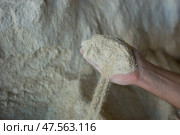 Closeup of handful of soy flour in male hands. Стоковое фото, фотограф Яков Филимонов / Фотобанк Лори