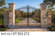 Ornate wrought iron gate opening to a tree lined driveway. Стоковое AI-изображение, AI-художник Юрий Поздников / Фотобанк Лори