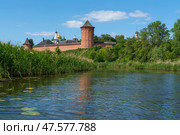 View of the Spaso-Evfimiev Monastery (a monastery of the Vladimir Diocese of the Russian Orthodox Church) on the bank of the Kamenka River on a sunny summer day, Suzdal, Vladimir region, Russia. Стоковое фото, фотограф Ula Ulachka / Фотобанк Лори