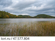Lake Ladoga near the village Lumivaara on a sunny autumn day, Ladoga skerries, Lakhdenpokhya, Republic of Karelia, Russia. Стоковое фото, фотограф Ula Ulachka / Фотобанк Лори