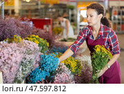 Middle-aged saleswoman holding bouquet of dry flowers in plants market. Стоковое фото, фотограф Яков Филимонов / Фотобанк Лори