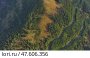 Curved road trough pine forest. Стоковое видео, видеограф Михаил Коханчиков / Фотобанк Лори