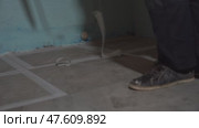 Grouting of joints between ceramic tiles. Cleaning after renovation. Construction. The adhesive tape is removed from the floor. Стоковое видео, видеограф Darya Komarova / Фотобанк Лори