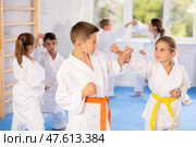 Young pupils train to perform defensive karate installations and attacking combat techniques. Стоковое фото, фотограф Яков Филимонов / Фотобанк Лори