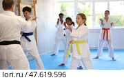 Focused tween girl, karateka beginner in kimono, standing in attacking stance, practicing punches or hand striking techniques as part of kata with group of teenagers. Стоковое видео, видеограф Яков Филимонов / Фотобанк Лори