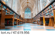 Sanctuary of Knowledge: Serene library interior with rows of books and stained glass, evoking sense of wisdom and timelessness. Стоковое AI-изображение, AI-художник Данила Большаков / Фотобанк Лори
