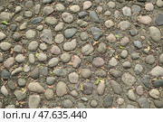 Текстура старой мостовой из булыжника, сложенной из округлых серых речных камней, уложенных в грунт или раствор, с редкими листьями. Вид сверху. Стоковое фото, фотограф Евгений Ковальский / Фотобанк Лори