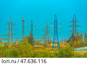 An electrical substation surrounded by metal transmission line supports. Several high-voltage towers of different colors (including a blue one and a rusty metal one) cross the frame, supporting a dense network of wires. Below are thickets of grass, bushes and trees, typical forest-steppe vegetation. In the background, engineering structures and buildings related to the energy infrastructure are visible. The shooting was carried out during the day in bright sunlight. Стоковое фото, фотограф Анна Кривицкая / Фотобанк Лори