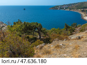 A magnificent view of the Crimean coast. From above, a panorama of the curved coastline, covered with sparse vegetation, rocks and junipers, opens up. In the distance, a small town or village with white houses spread out along the slope of a hill is visible. The Black Sea is deep blue, calm, with slight glare from the sun. On the horizon, closer to the center of the frame, an old sea platform or pier is noticeable. This place conveys an atmosphere of privacy, tranquility and southern warmth. Стоковое фото, фотограф Анна Кривицкая / Фотобанк Лори