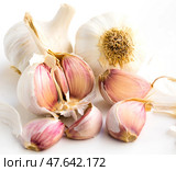 Garlic heads and cloves on white background. Стоковое фото, фотограф Татьяна Яцевич / Фотобанк Лори