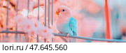 Pastel Aviary: A bird perched amidst blossoming branches, soft illumination, evoking serenity. Стоковое AI-изображение, AI-художник Данила Большаков / Фотобанк Лори