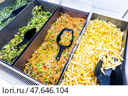 Замороженные овощи продаются в продуктовом магазине. Хороший натуральный продукт для быстрого приготовления вкусной еды. Удобство и готовый фастфуд. Стоковое фото, фотограф FotograFF / Фотобанк Лори