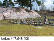 Петроглифы, реплика. Исторический парк «Бастион». Сортавала, Карелия (2024 год). Редакционное фото, фотограф Наталия Бушкевич / Фотобанк Лори
