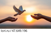 Versa hands set a pigeon free at sunset against a colorful sky. Руки  отпускают  голубя на закате на фоне красочного неба. Стоковое AI-изображение, AI-художник Katsiaryna Repich / Фотобанк Лори
