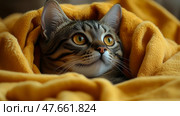 Cozy Tabby Cat Under a Mustard Yellow Blanket: A Close-Up Portrait. Стоковое AI-изображение, AI-художник Данила Большаков / Фотобанк Лори