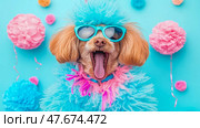 Hilarious Party: A happy dog in glasses with blue fur and pompons celebrates a colorful event. Стоковое AI-изображение, AI-художник Данила Большаков / Фотобанк Лори