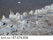 Соляные отложения на берегу озера Эльтон (2024 год). Стоковое фото, фотограф Анна Карасева / Фотобанк Лори