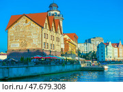 One of the most recognizable tourist sites in Kaliningrad is the Fish Village. This is a stylized architectural complex on the embankment of the Pregolya River. The buildings are decorated in the spirit of German half-timbered houses, the facade of one of the houses is decorated with a large mural with historical scenes. In the foreground are pleasure boats, street cafes with bright umbrellas and tourists relaxing. The atmosphere of a warm summer evening is emphasized by soft light and a bright blue sky. (2020 год). Редакционное фото, фотограф Анна Кривицкая / Фотобанк Лори
