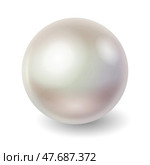 Shiny Realistic Natural Pearl Illustration. Стоковая иллюстрация, иллюстратор Андрей Апоев / Фотобанк Лори