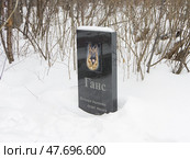 Надгробие над могилой собаки по кличке "Ганс". Стихийное кладбище домашних животных в лесопарке Лесоводов России. Екатеринбург (2021 год). Редакционное фото, фотограф Алексей Иванов / Фотобанк Лори