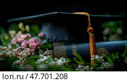 Graduation Cap, Diploma, and Blossoms: A Celebration of Academic Achievement. A close-up shot showcasing a graduation cap, diploma, and delicate flowers, symbolizing the culmination of hard work and. Стоковое AI-изображение, AI-художник Данила Большаков / Фотобанк Лори